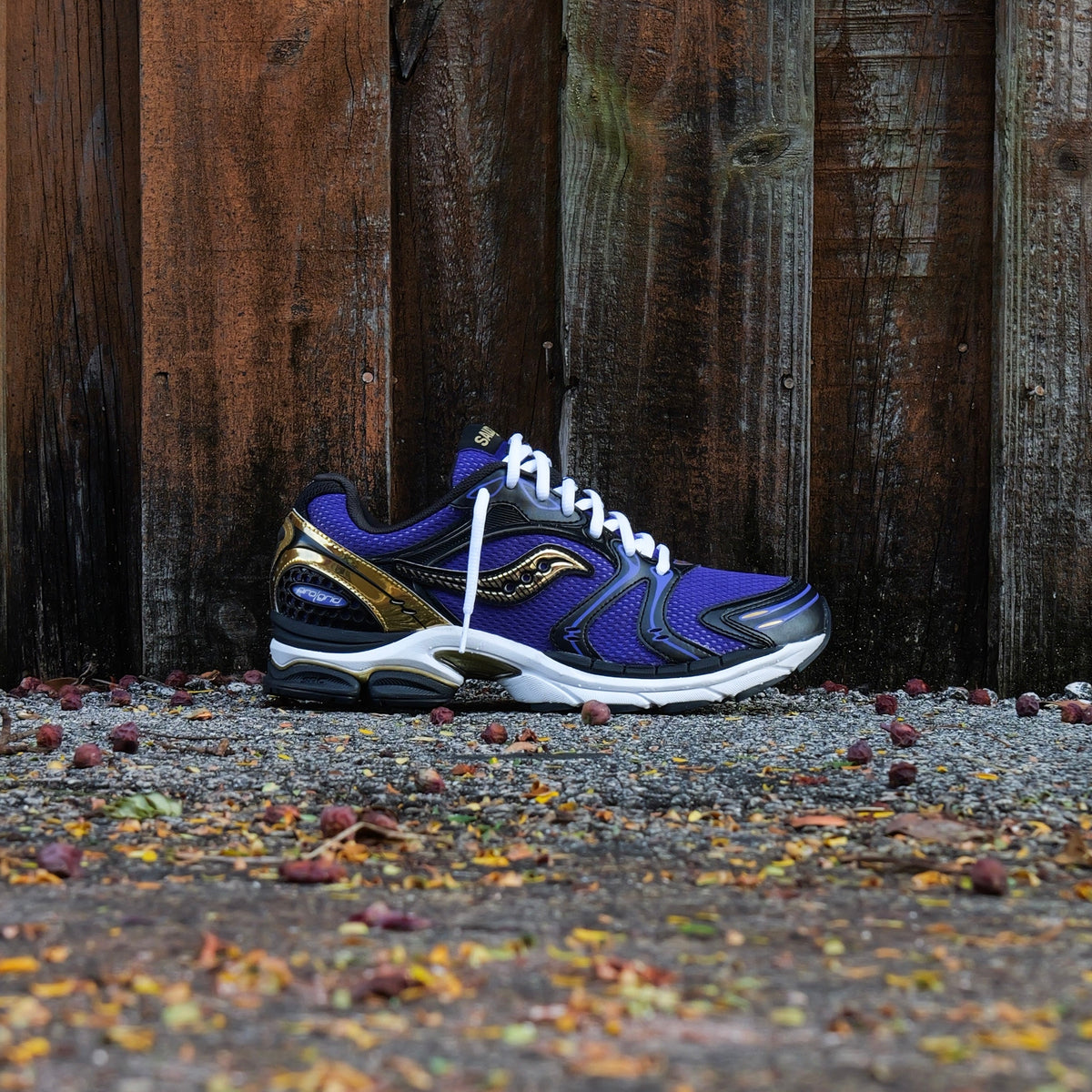 Mens Saucony ProGrid Triumph 4 (Purple/Gold)