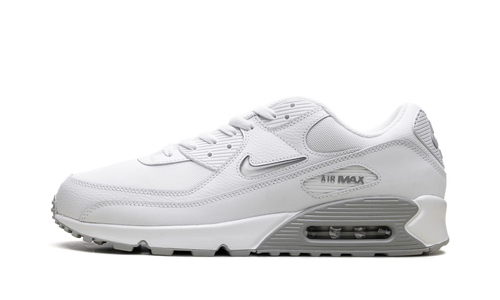 Air Max 90 "Jewel Light Smoke Grey" FN8005 100