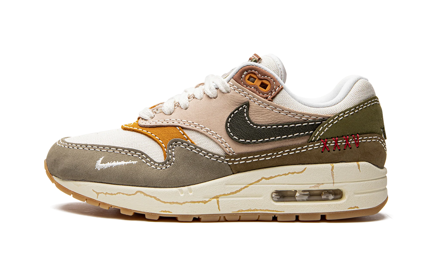 Air Max 1 Premium "Wabi-sabi" DQ8656 133