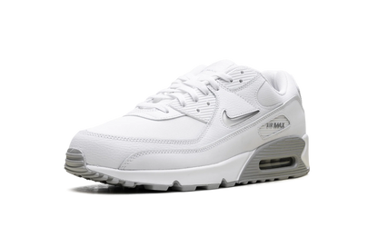 Air Max 90 "Jewel Light Smoke Grey" FN8005 100