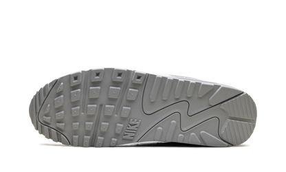 Air Max 90 "Jewel Light Smoke Grey" FN8005 100
