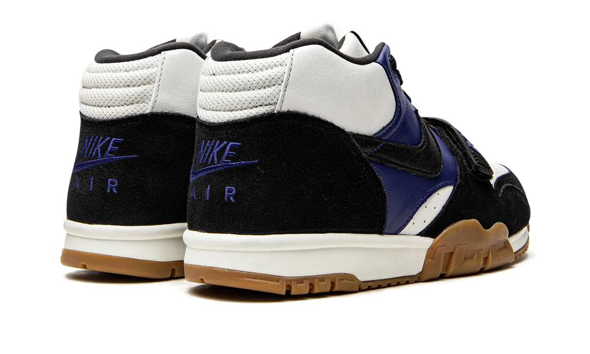 SB Air Trainer 1 "Polar Skate Company" CI6892 001