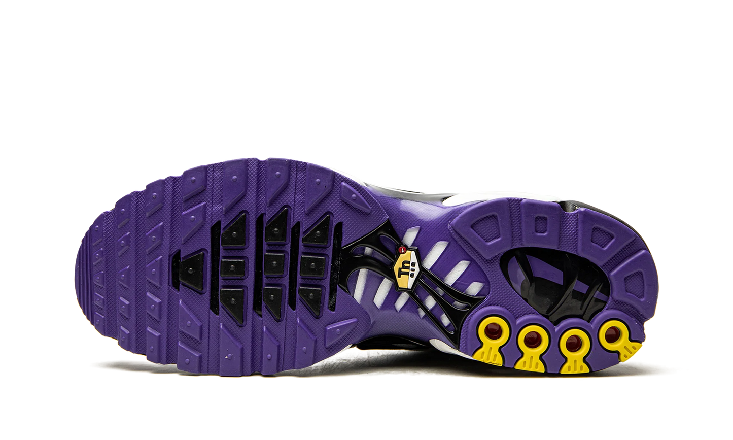 Air Max Plus "Persian Violet" DB0682 100