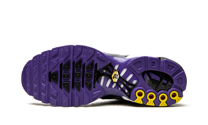 Air Max Plus "Persian Violet" DB0682 100