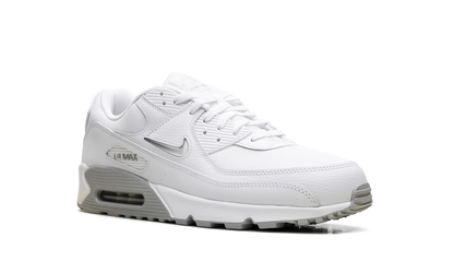 Air Max 90 "Jewel Light Smoke Grey" FN8005 100