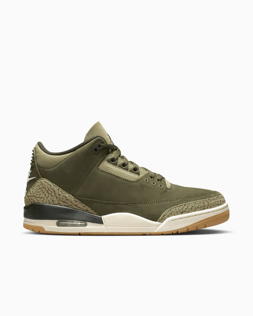 Air Jordan 3 Retro "Family Affair"